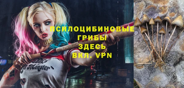 сатива Билибино