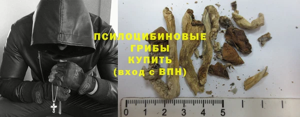 сатива Билибино