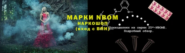 apvp Беслан