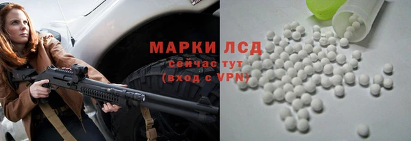 сатива Билибино