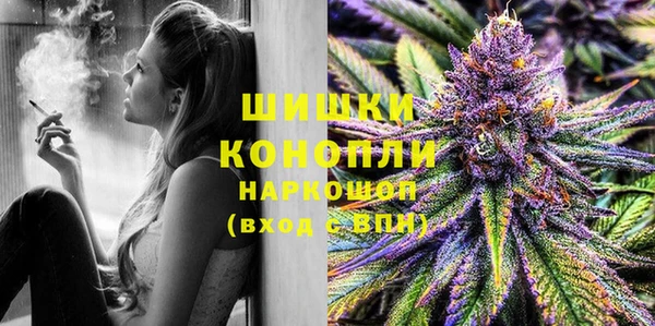 PSILOCYBIN Бикин