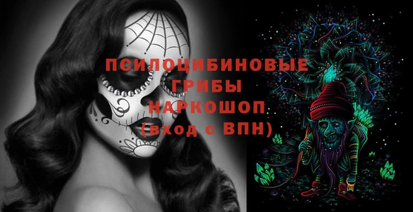 apvp Беслан
