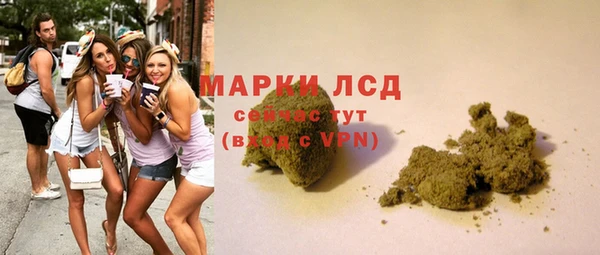 PSILOCYBIN Бикин