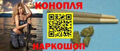 крисы Аргун