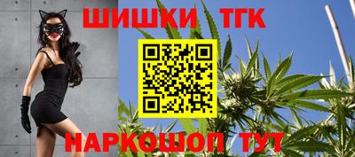 индика Бийск