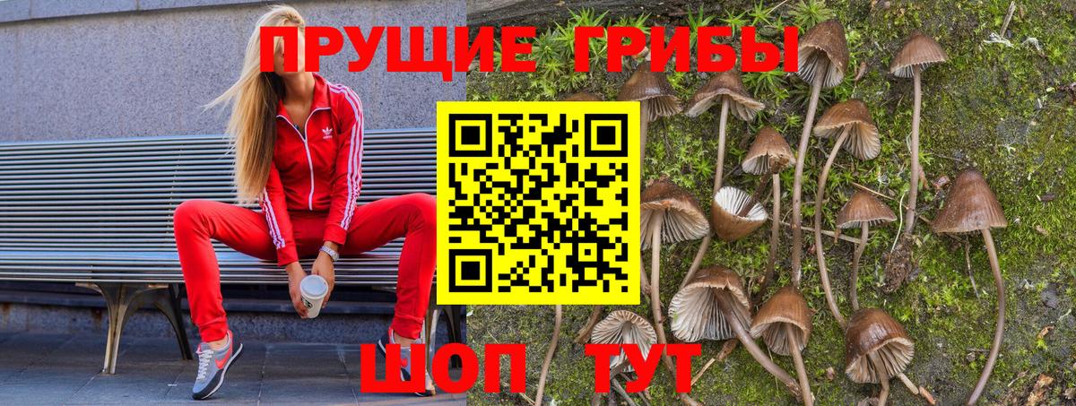 что такое наркотик  Галлюциногенные грибы Cubensis  Балахна  Галлюциногенные грибы ЛСД 