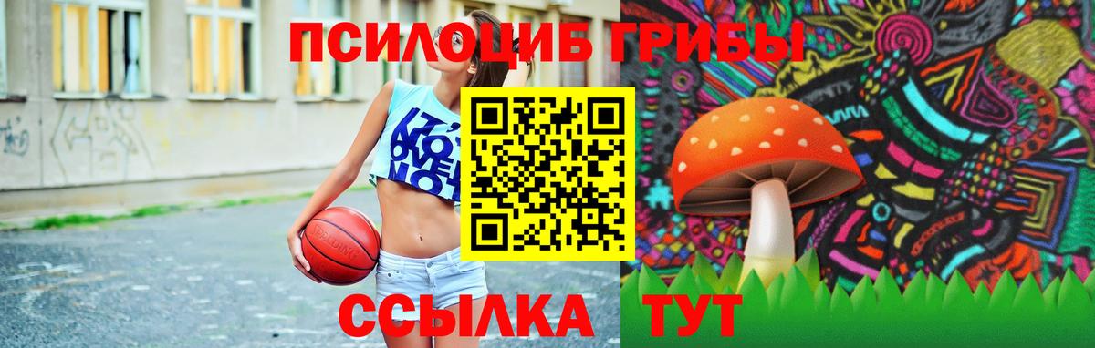 Псилоцибиновые грибы Psilocybe  Вход с VPN  Балахна 