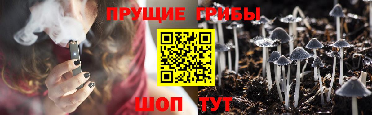 Галлюциногенные грибы Psilocybine cubensis Балахна