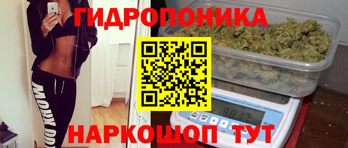 Конопля семена Балахна